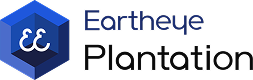 plantation